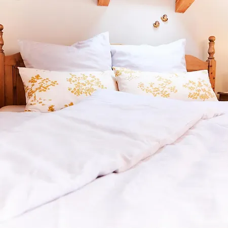 Apartment 21 *